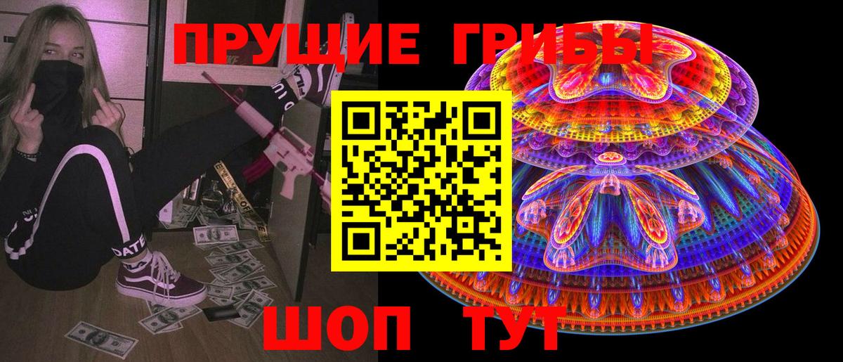 Псилоцибиновые грибы Cubensis Отрадное